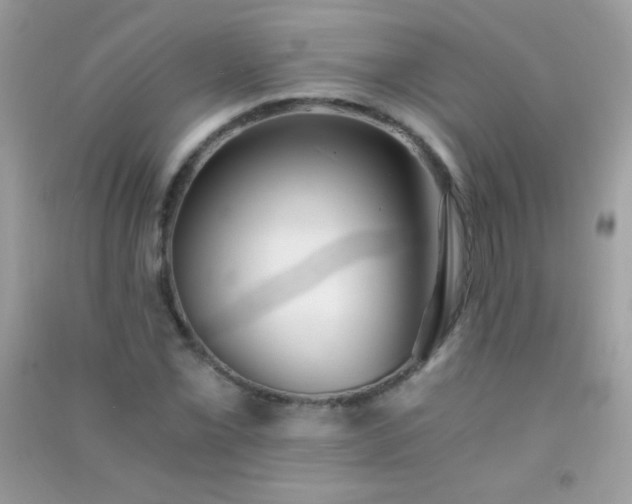 X0000091301069200708172204