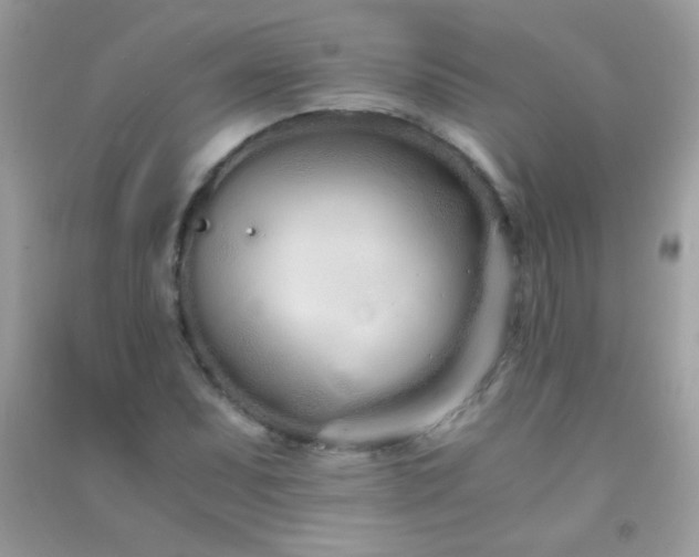 X0000091301071200708172204