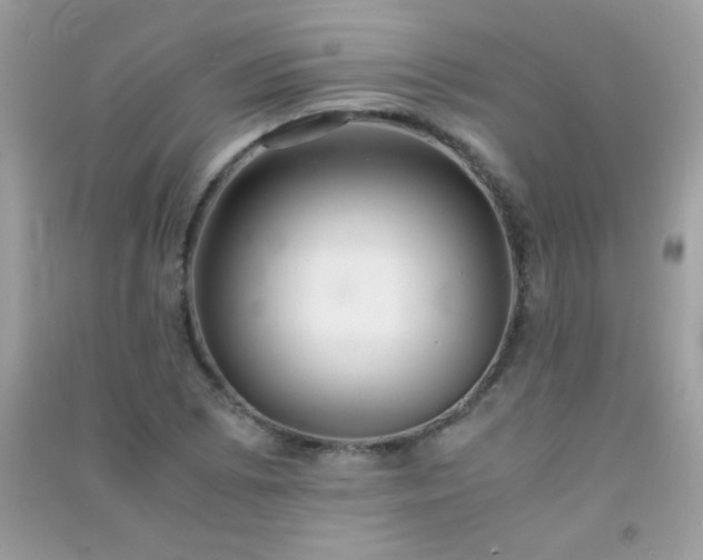 X0000091301073200708172204