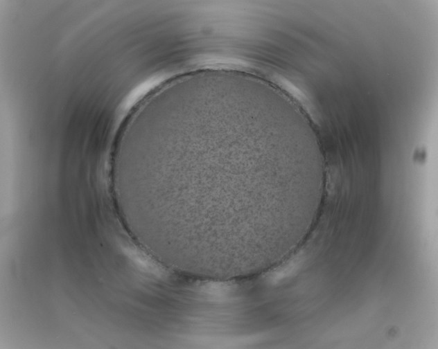 X0000091301074200708172204