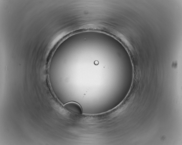 X0000091301075200708172204