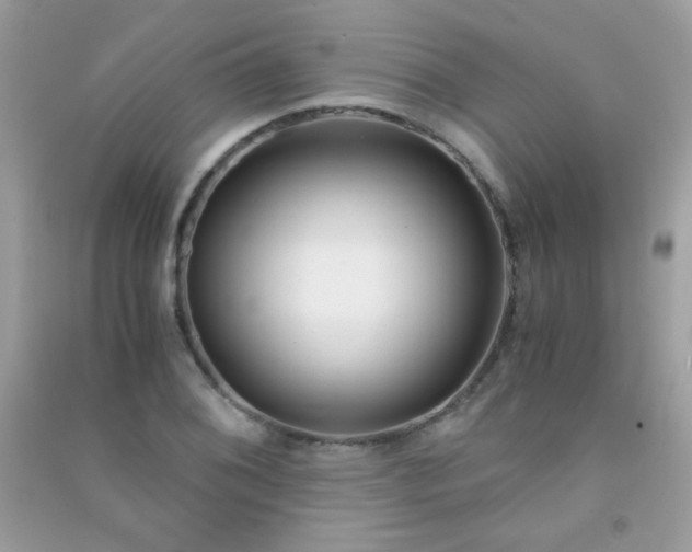 X0000091301076200708172204