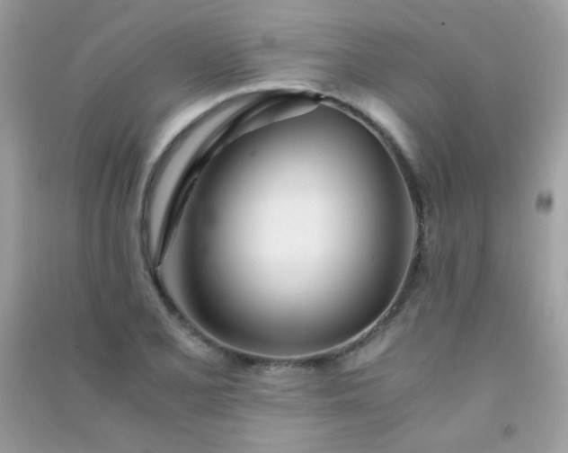 X0000091301077200708172204