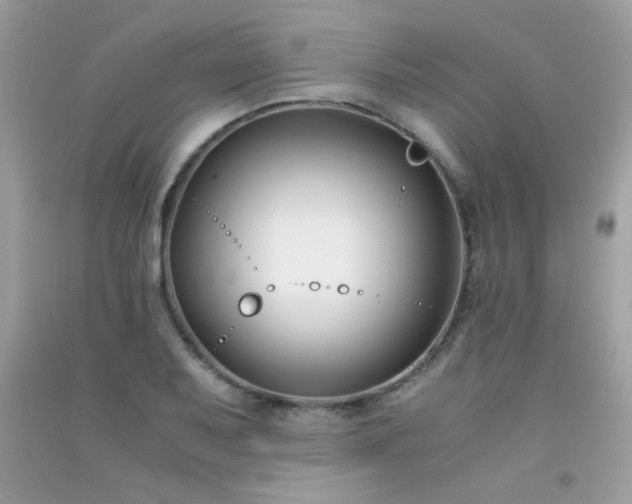 X0000091301079200708172204