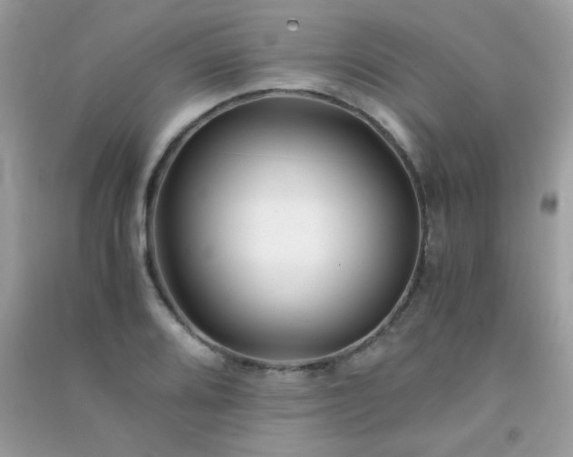 X0000091301080200708172204