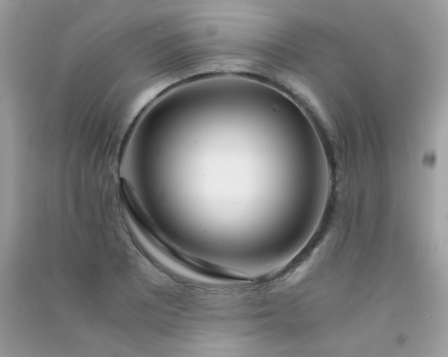 X0000091301081200708172204