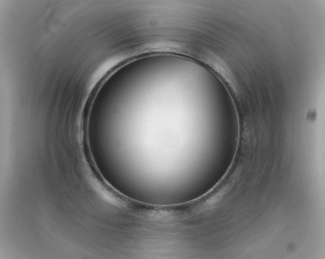 X0000091301082200708172204