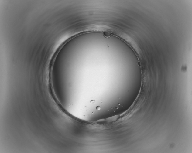 X0000091301083200708172204