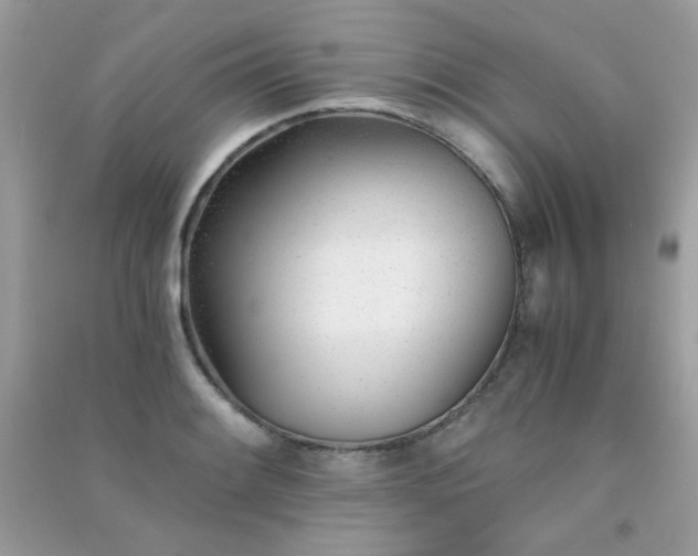 X0000091301084200708172204