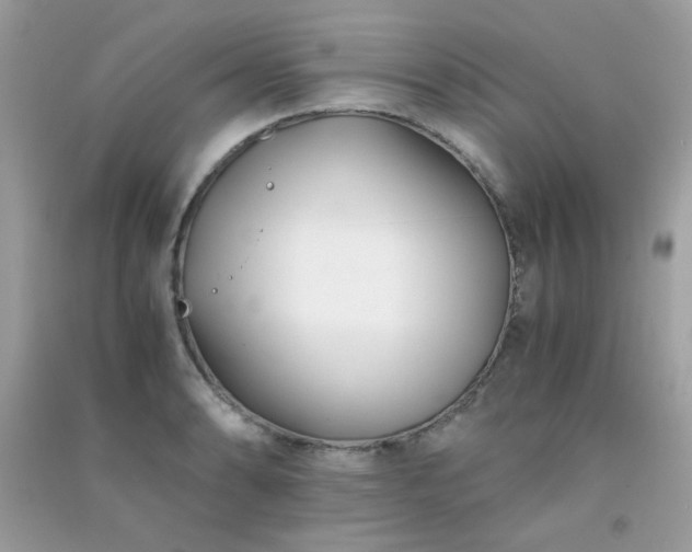 X0000091301086200708172204