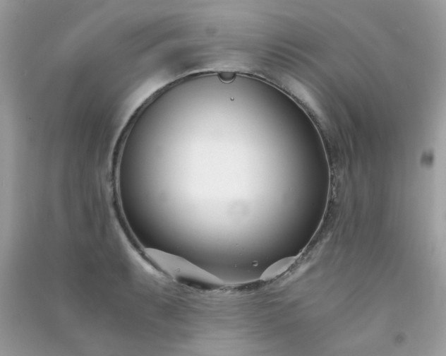 X0000091301087200708172204