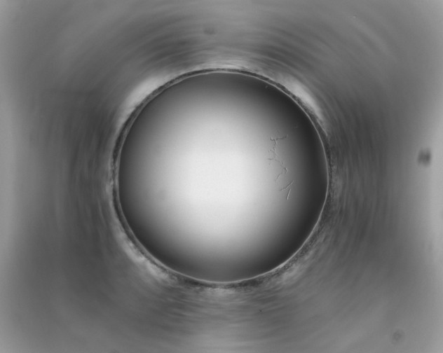 X0000091301088200708172204