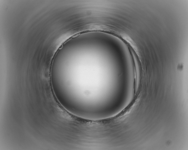 X0000091301089200708172204