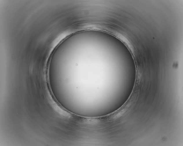 X0000091301090200708172204