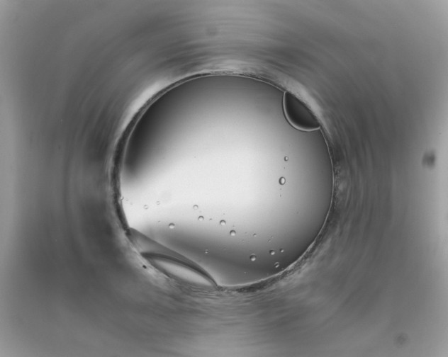 X0000091301091200708172204