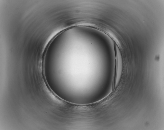 X0000091301092200708172204