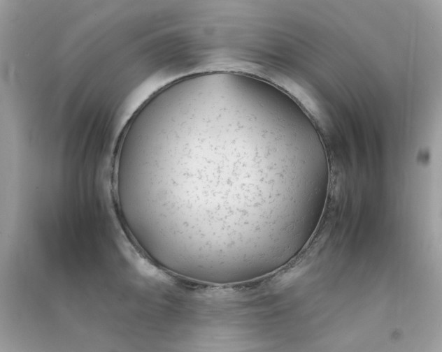 X0000091301094200708172204