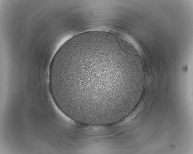 X0000091301095200708172204