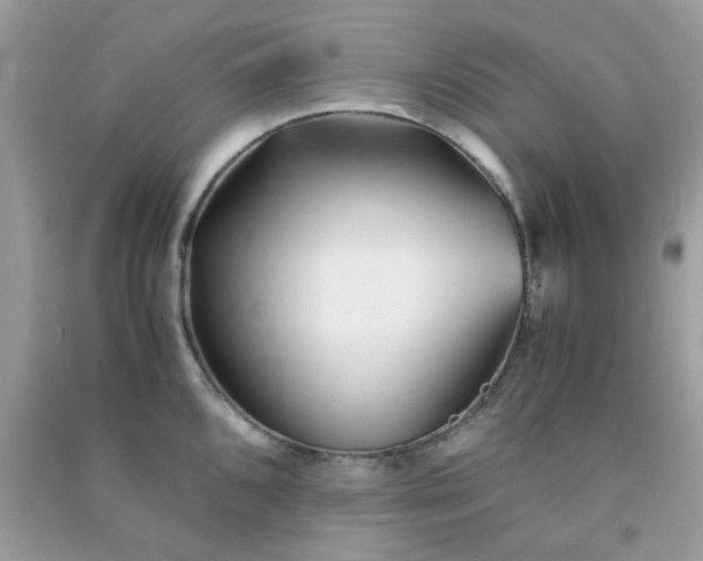 X0000091301096200708172204