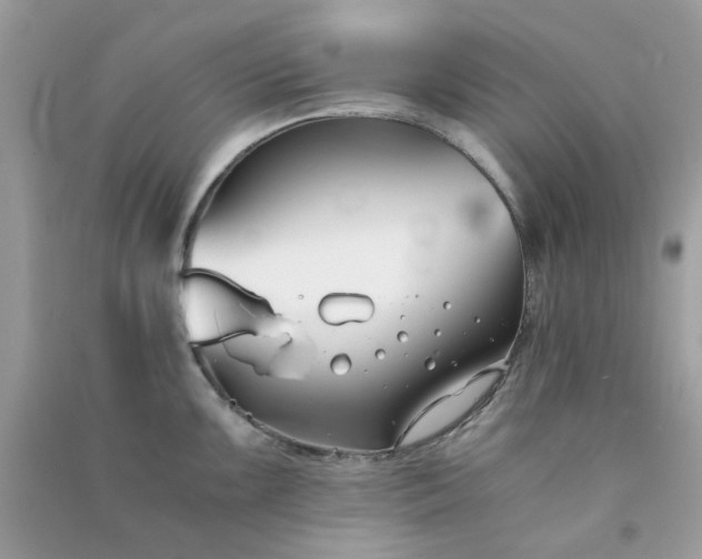 X0000091301099200708172204