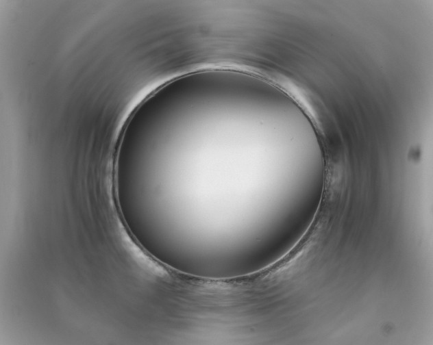 X0000091301100200708172204