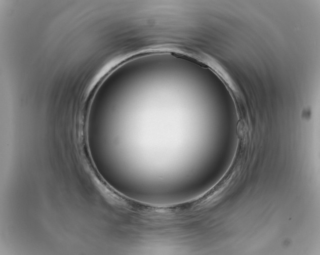 X0000091301101200708172203