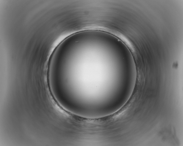 X0000091301102200708172203