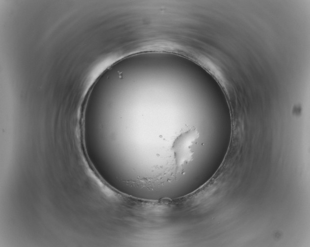 X0000091301103200708172203