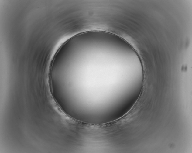 X0000091301104200708172203