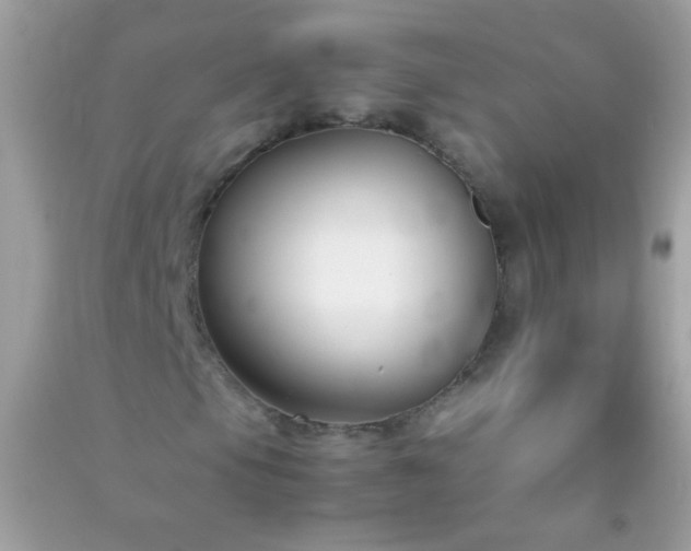 X0000091301105200708172203