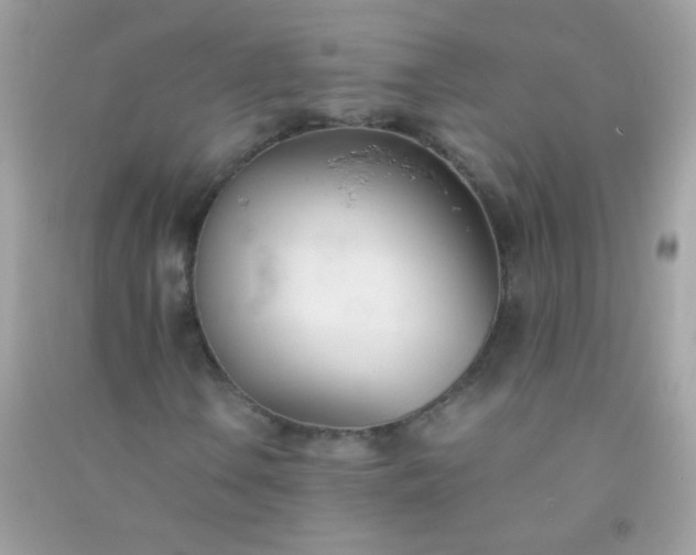 X0000091301106200708172203