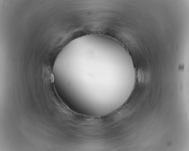 X0000091301107200708172203