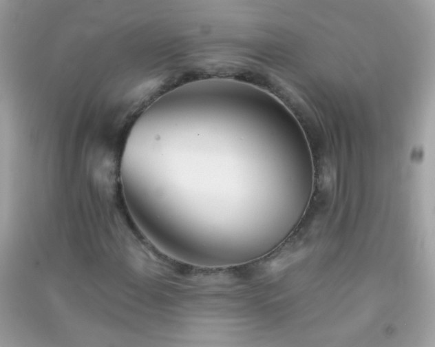 X0000091301108200708172203