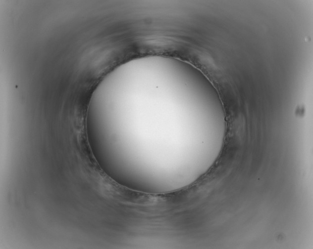 X0000091301109200708172203