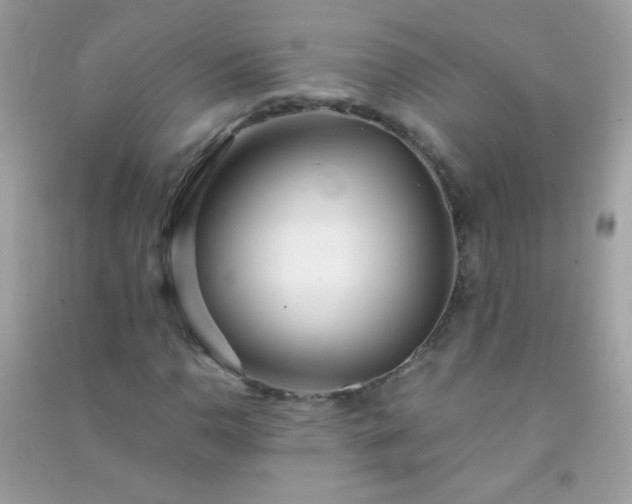 X0000091301110200708172203