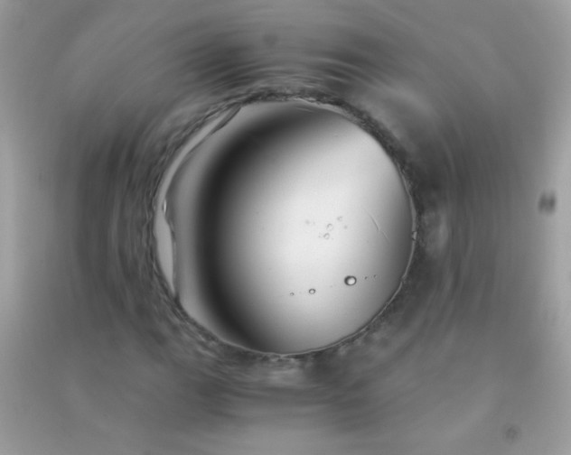 X0000091301111200708172203