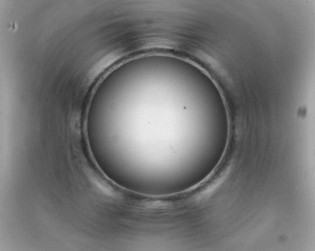 X0000091301113200708172203