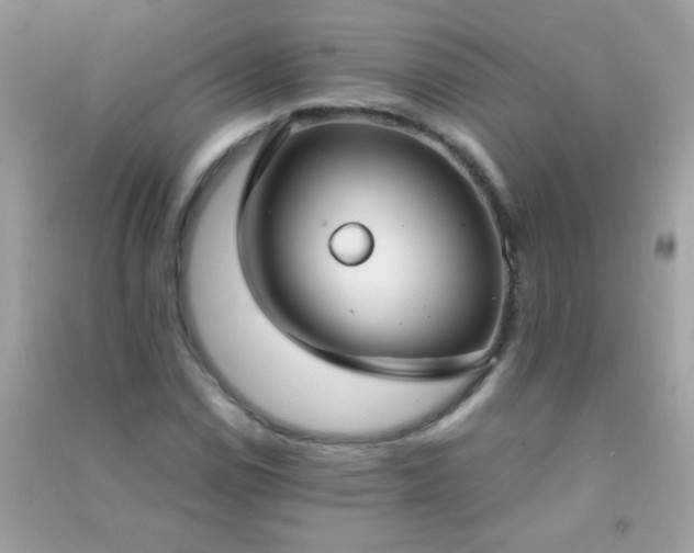 X0000091301114200708172203