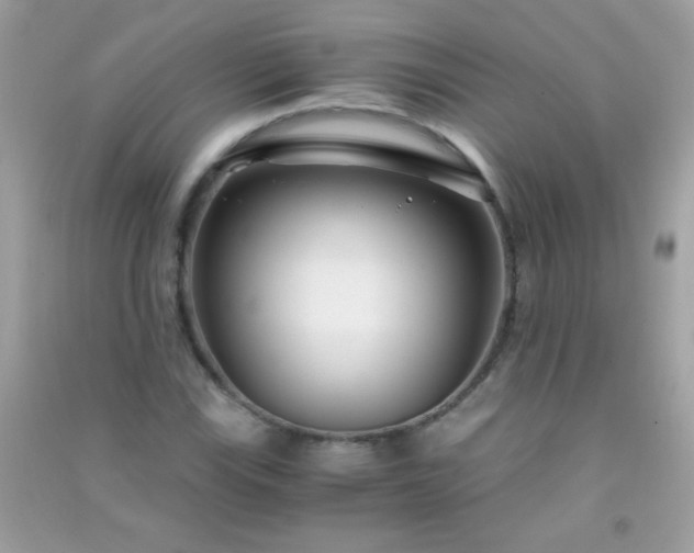 X0000091301115200708172203