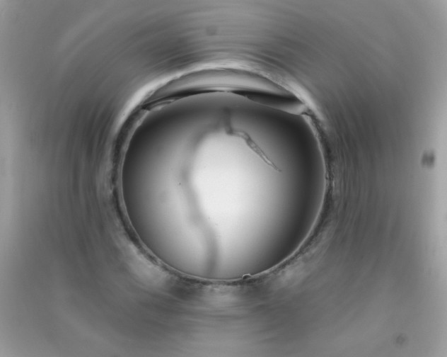 X0000091301116200708172203