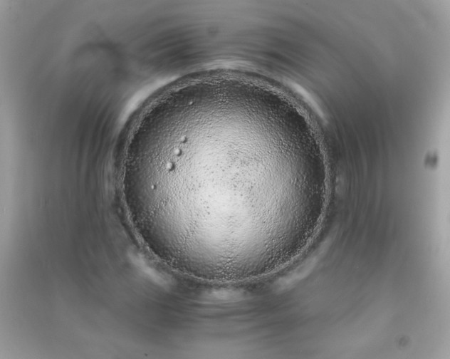 X0000091301117200708172203