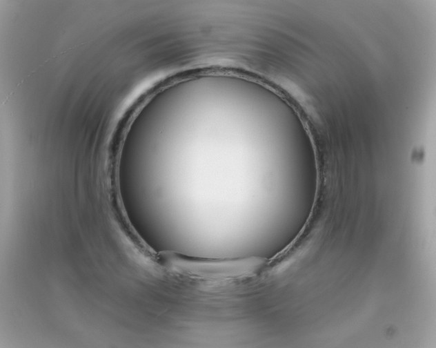 X0000091301118200708172203