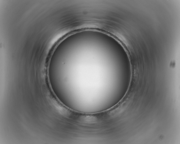 X0000091301119200708172203