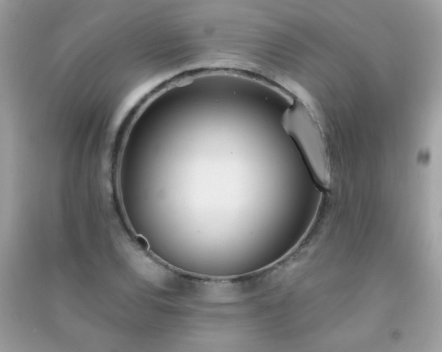 X0000091301120200708172203