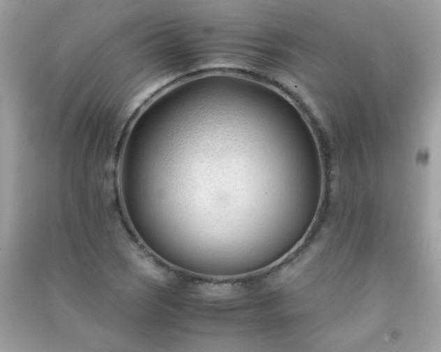 X0000091301121200708172203