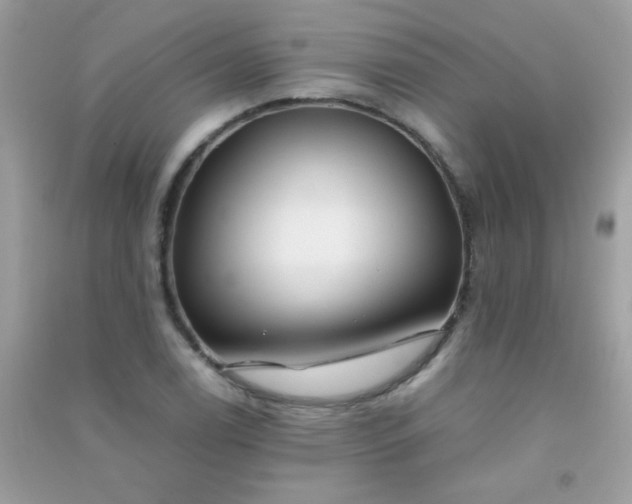 X0000091301122200708172203