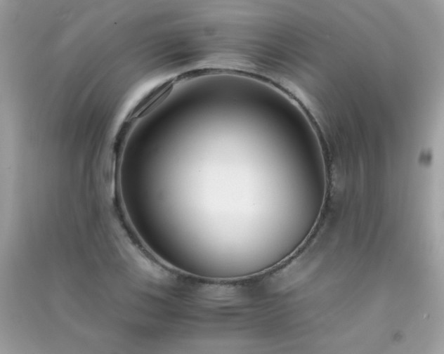 X0000091301123200708172203