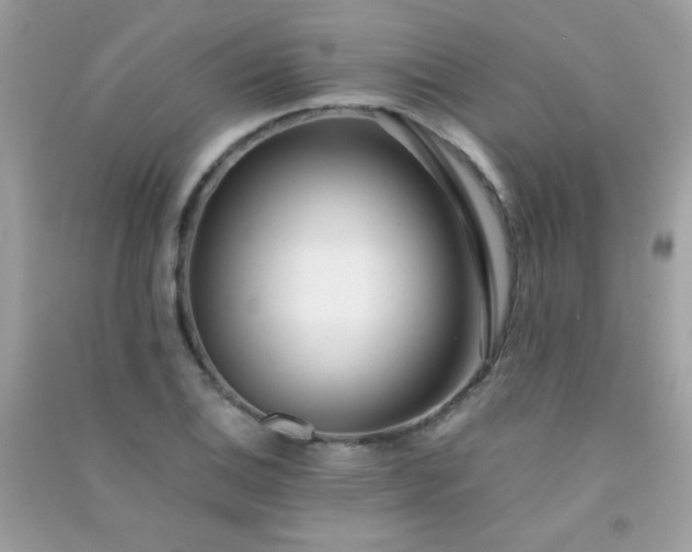 X0000091301124200708172203