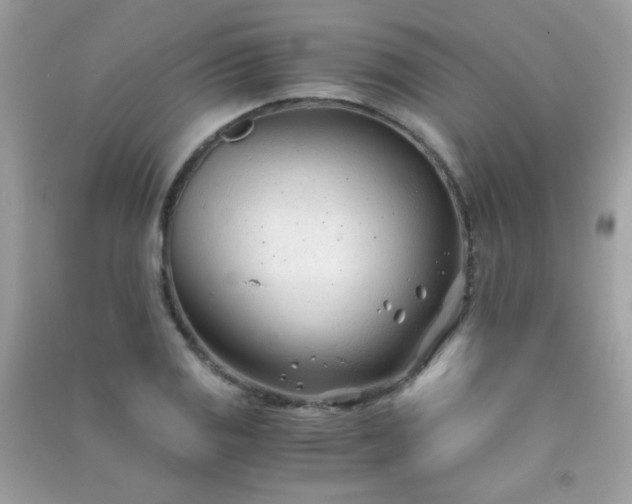 X0000091301125200708172203