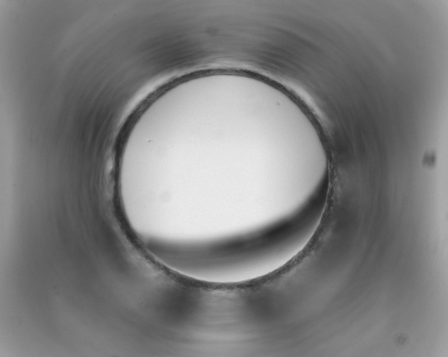 X0000091301126200708172203